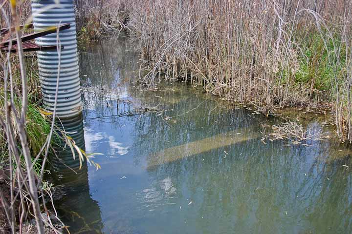 USGS Rio Bonito monitoring station